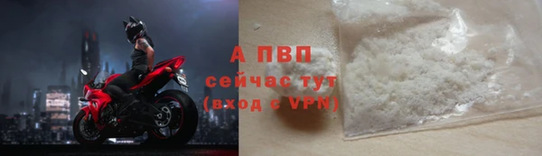 СК Верея